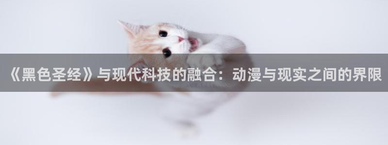 免费羞羞动漫视频网站：《黑色圣经》与现代科技的融合：动漫与现实之间的界限